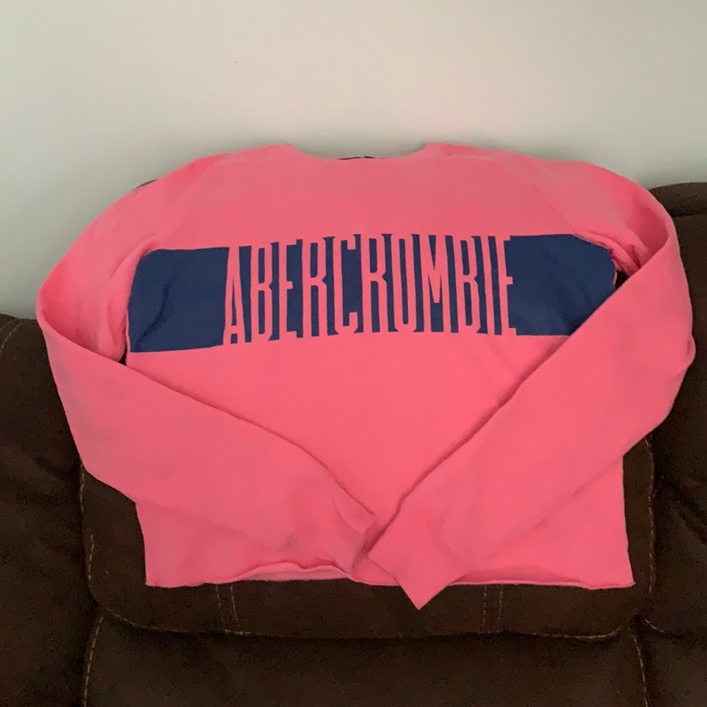 Abercrombie and Fitch  sweatshirt new